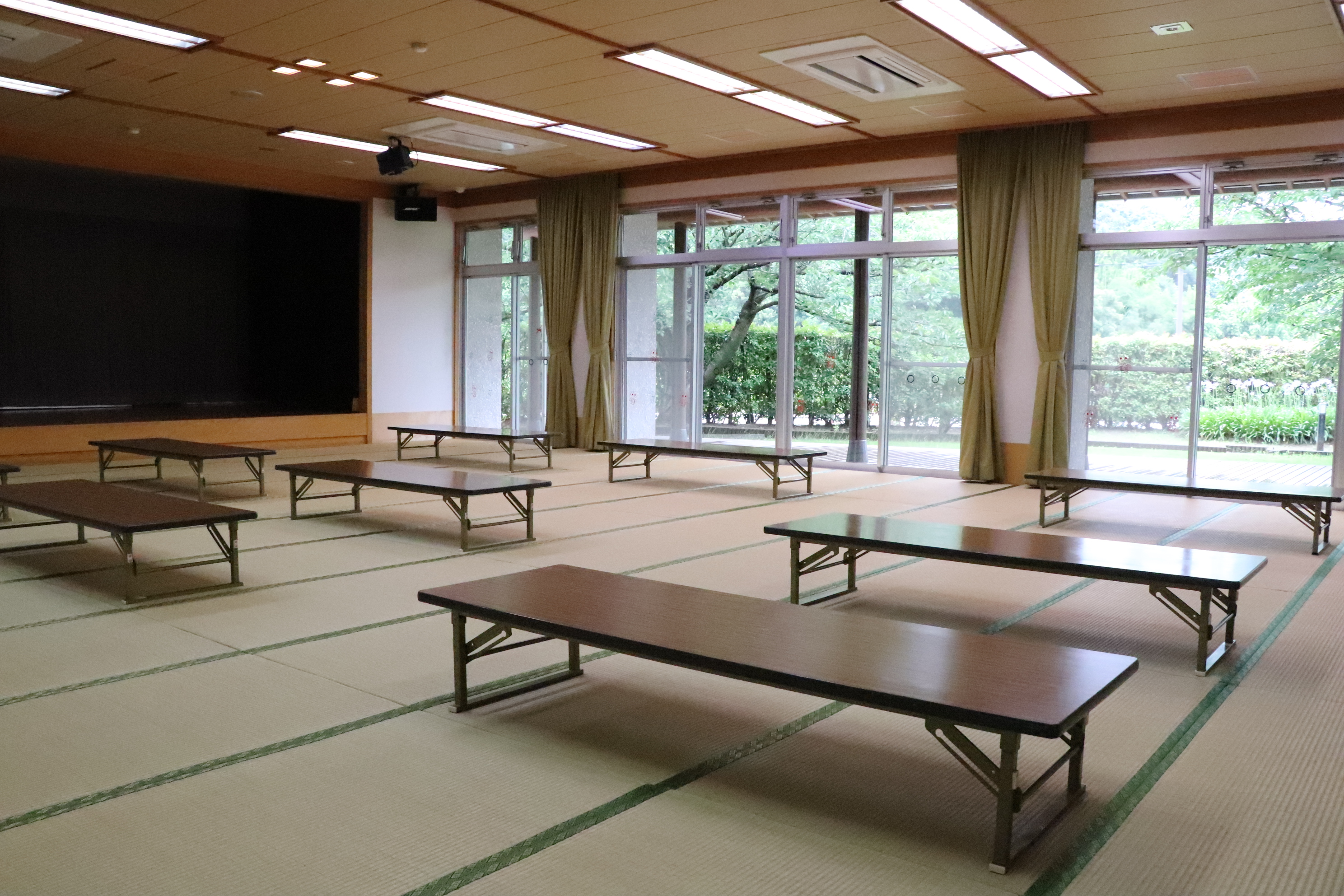 の画像